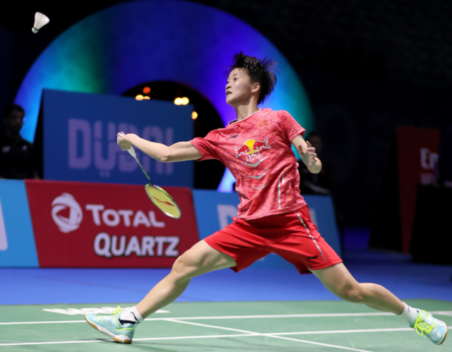 影响与展望 影响与展望