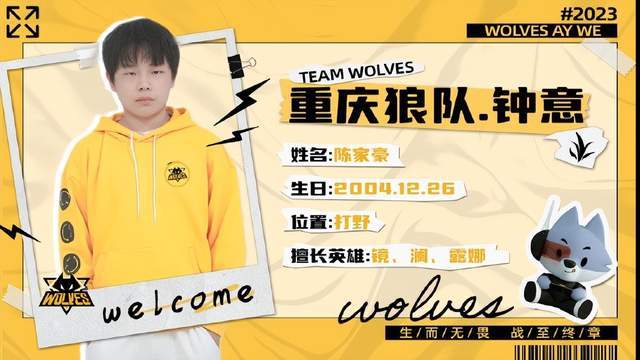 更具性价比
